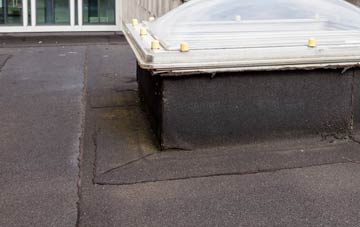 disadvantages of Pont Ar Llechau flat roofs