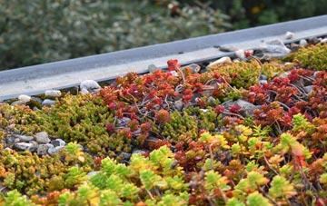 the cost of Pont Ar Llechau green roof installation
